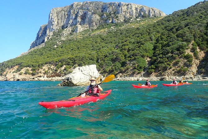 3-Hour Kayak Tour at Capo Figari (Golfo Aranci) - What Go Sea Kayak includes for the price (and where you’ll spend extra)