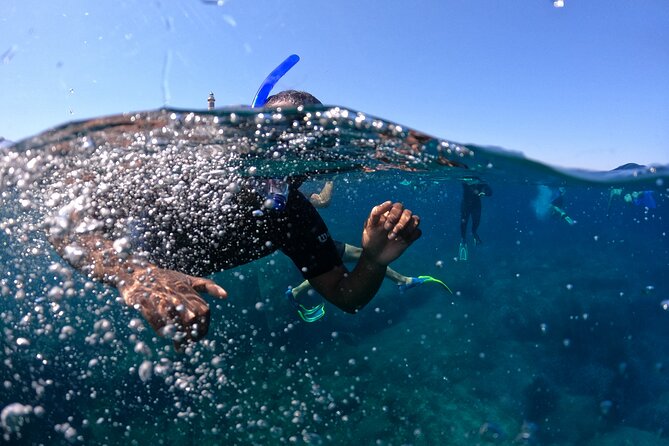 3 Hours Activities Snorkeling Villasimius Isle of Cabbage - Who should book (and who should think twice)