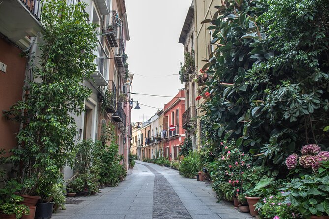 3 Hours Guided Tour of the Historic Districts of Cagliari - What the guides add: empires, naming details, and culture pointers