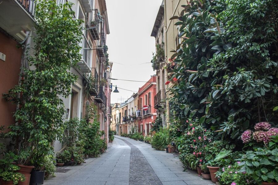 3 Hours Guided Tour of the Historical Cagliari - Comfort and Logistics: Stairs, Hills, and Weather Reality