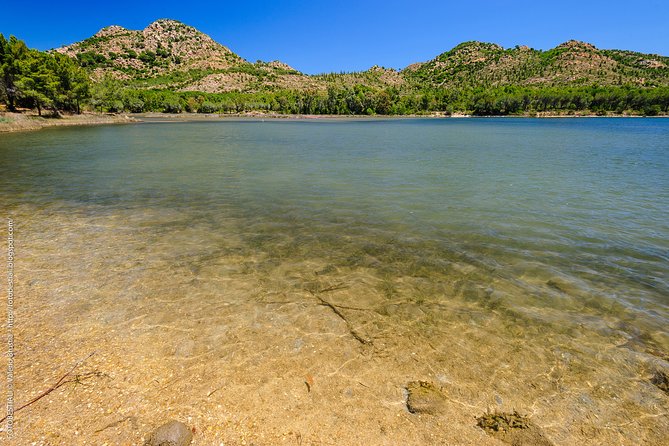 4 × 4 excursion to the beaches of Biderosa and Capo Comino - Oasi Biderosa: White Sand Coves, Pine Tracks, and Sa Curcurica Pond