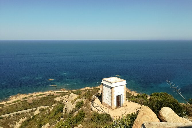 4 × 4 excursion to the beaches of Biderosa and Capo Comino - Spiaggia di Capo Comino: Dunes, Junipers, Ruja Island, and a Late-Day Swim