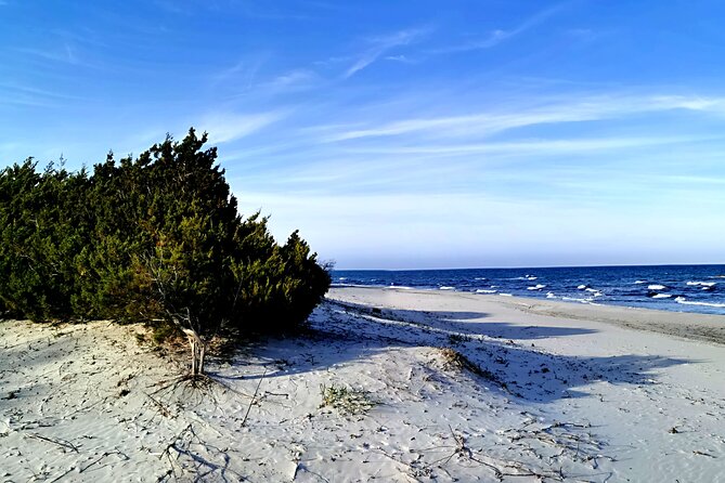4 × 4 excursion to the beaches of Biderosa and Capo Comino - Price and Value: Does $72.41 Make Sense for 8 Hours of Off-Road Coast?
