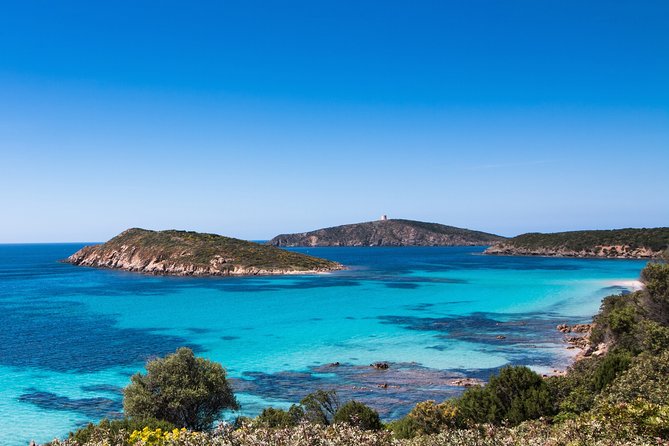 4x4 Mountains And Beaches - Chia area - Pink flamingos: watch, but don’t count on a stop