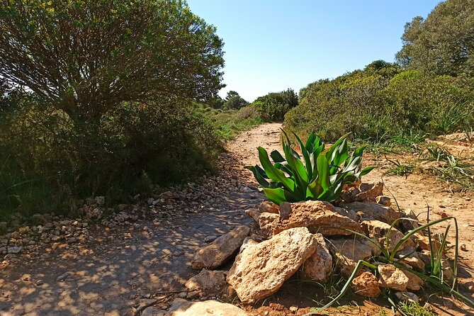 A hike to the Devil's Saddle - Small Group Energy: Better Questions, Less Waiting, More Walking
