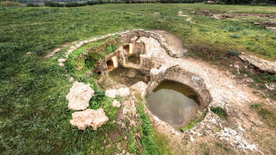 Alghero: Anghelu Ruju Necropolis with Audio Guides - The symbols: bull’s heads and ritual marks you’ll start seeing everywhere