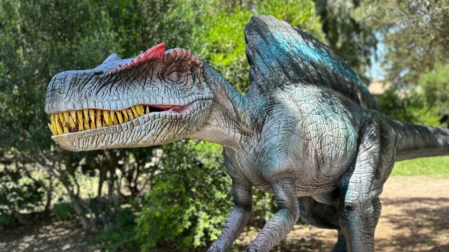Alghero: discover dinosaurs in Porto Conte Park - Key Things to Know Before You Go