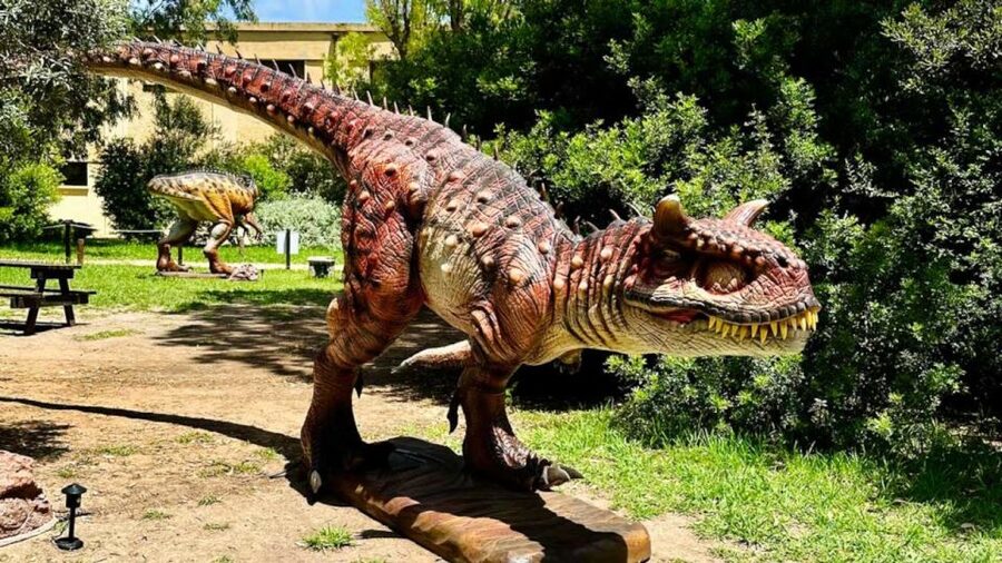 Alghero: discover dinosaurs in Porto Conte Park - Casa Gioiosa Beyond Dinosaurs: The Little Prince Marine Tunnel and Botanical Garden