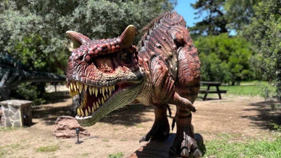 Alghero: discover dinosaurs in Porto Conte Park - M.A.S.E.: Saint-Exupéry and a Writer’s Museum Stop