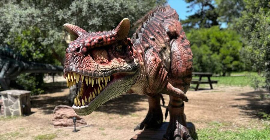 Alghero: discover dinosaurs in Porto Conte Park - Punta Giglio M.A.P.S.: Environmental and Historical Museum