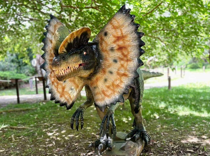 Alghero: discover dinosaurs in Porto Conte Park - Price and Value: Is $12 a Fair Deal?