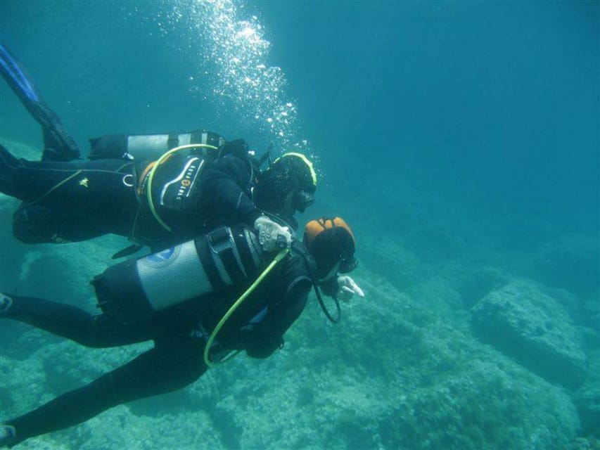 Alghero: discovery diving lesson for beginners - Key Highlights You’ll Actually Feel