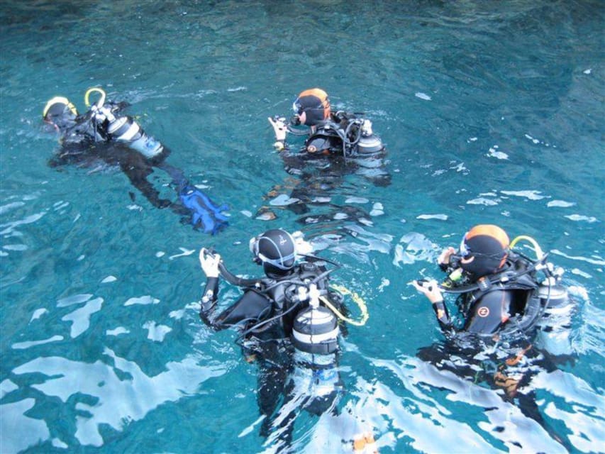 Alghero: discovery diving lesson for beginners - Price Value: What $161.43 Covers and Why It’s Fair for Beginners