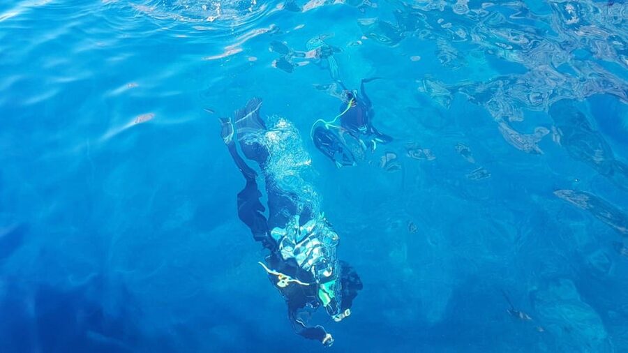 Alghero: discovery diving lesson for beginners - Practical Tips for a Smooth First Session