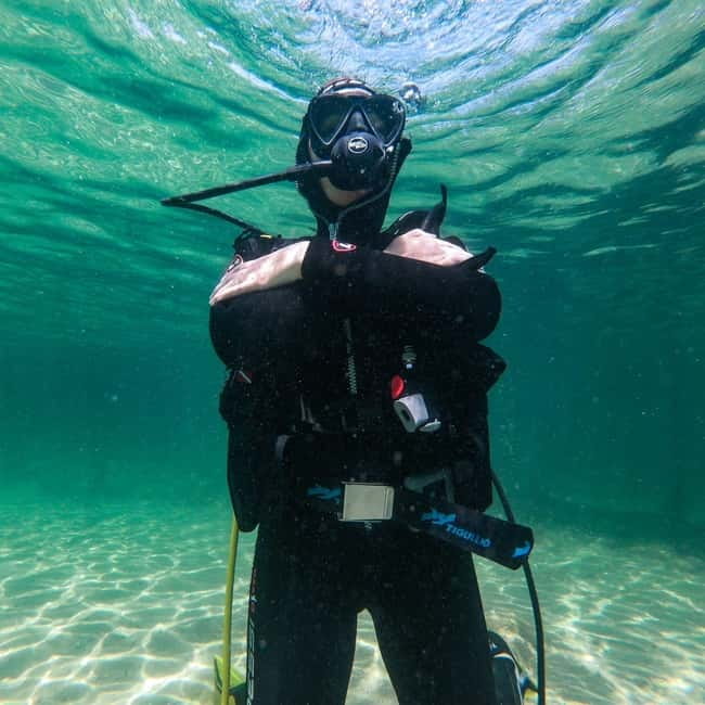 Alghero: Diving Experience - Capo Caccia underwater: caves, caverns, and walls in a real protected zone