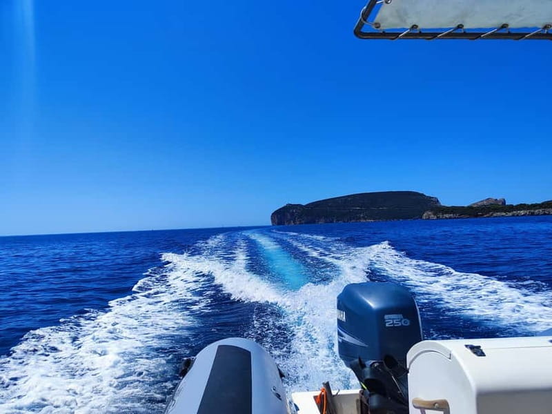 Alghero: Diving Experience - Who should book this Alghero scuba experience—and who should skip it