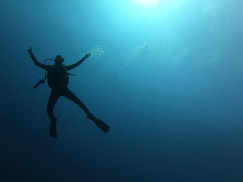 Alghero: Diving Experience - Getting there smoothly: Sandalia center, a short water transfer, then Capo Caccia