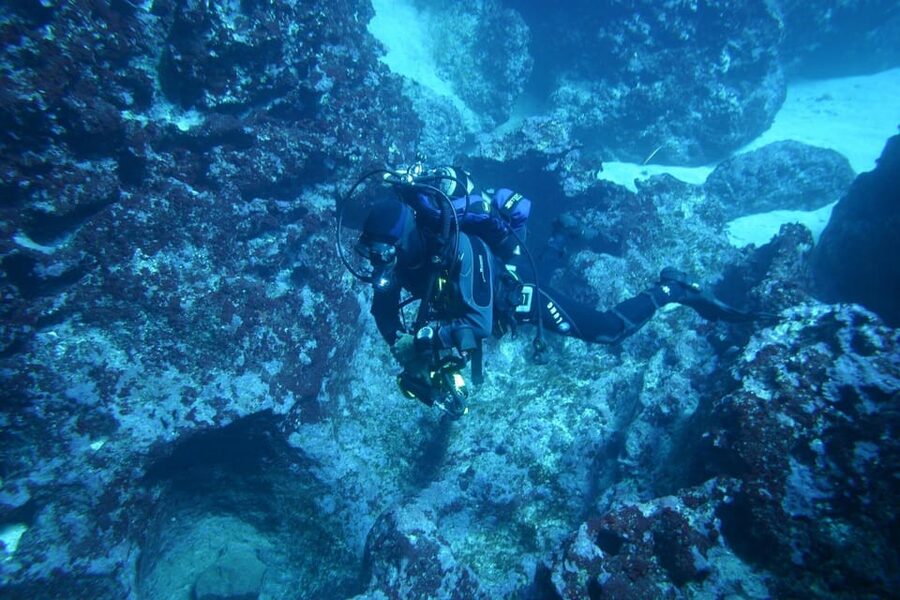 Alghero: diving for professionals at Capo Caccia - Capo Caccia’s cave world: why this protected area is special