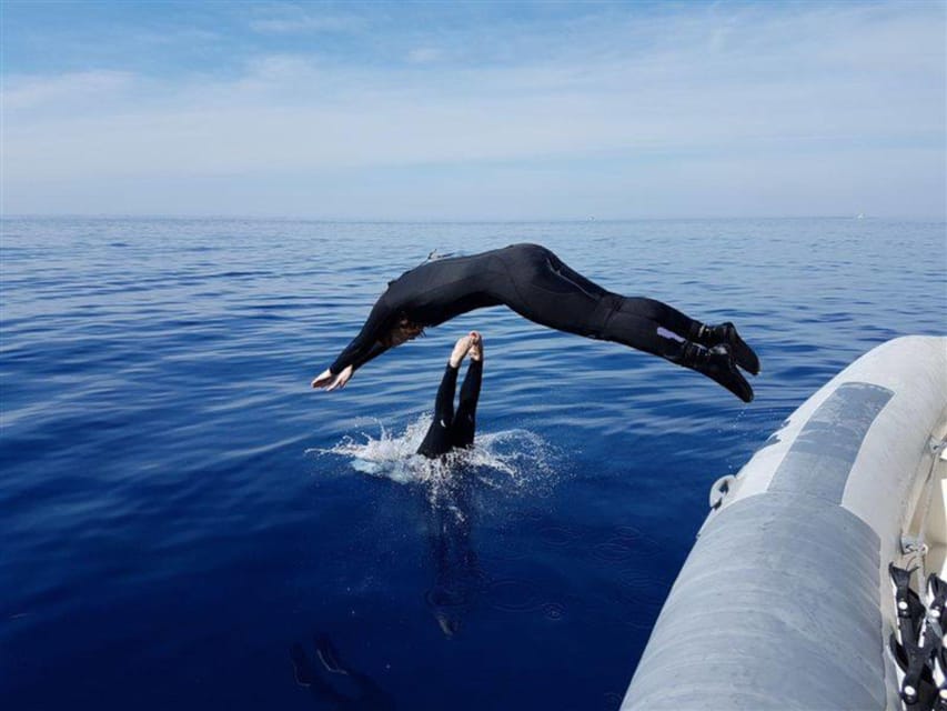 Alghero: diving for professionals at Capo Caccia - From the Alghero coast to Bay of Tramariglio: how the timing really works