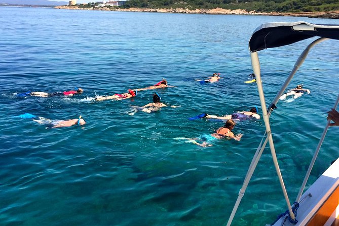 Alghero - Dolphin Watching and Guided Snorkeling (summer tour) - Respect in practice: what “low impact” looks like on the water