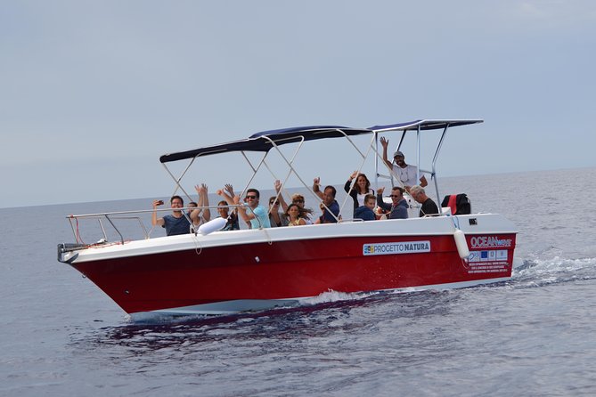 Alghero - Dolphin Watching (Spring & Autumn Tour) - Meet the Team and the High-Impact Part: Respectful Dolphin Viewing