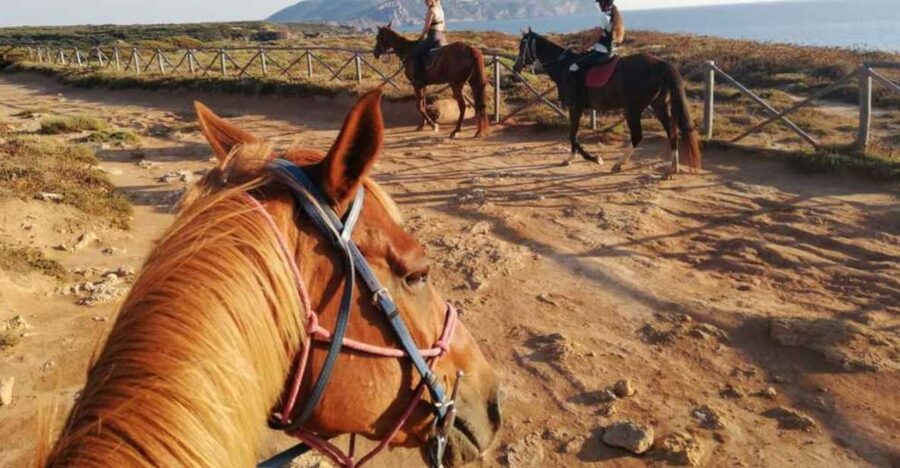 Alghero: Guided Horseback Ride at Lake Baratz & Porto Ferro - Horseback in Alghero: why Lake Baratz and Porto Ferro work so well