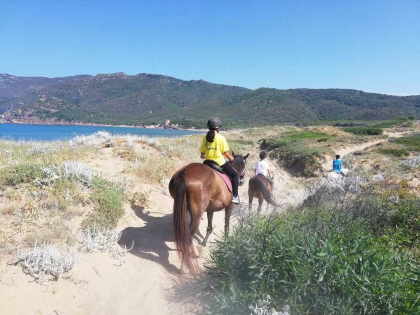 Alghero: Guided Horseback Ride at Lake Baratz & Porto Ferro - Should you book this tour or skip it?