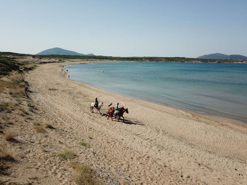 Alghero: Guided Horseback Ride at Lake Baratz & Porto Ferro - Porto Ferro Beach and the dunes: the ride gets more dramatic