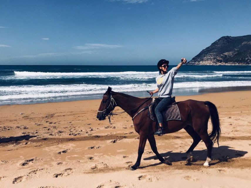 Alghero: Guided Horseback Ride at Lake Baratz & Porto Ferro - What to bring for a comfy saddle day
