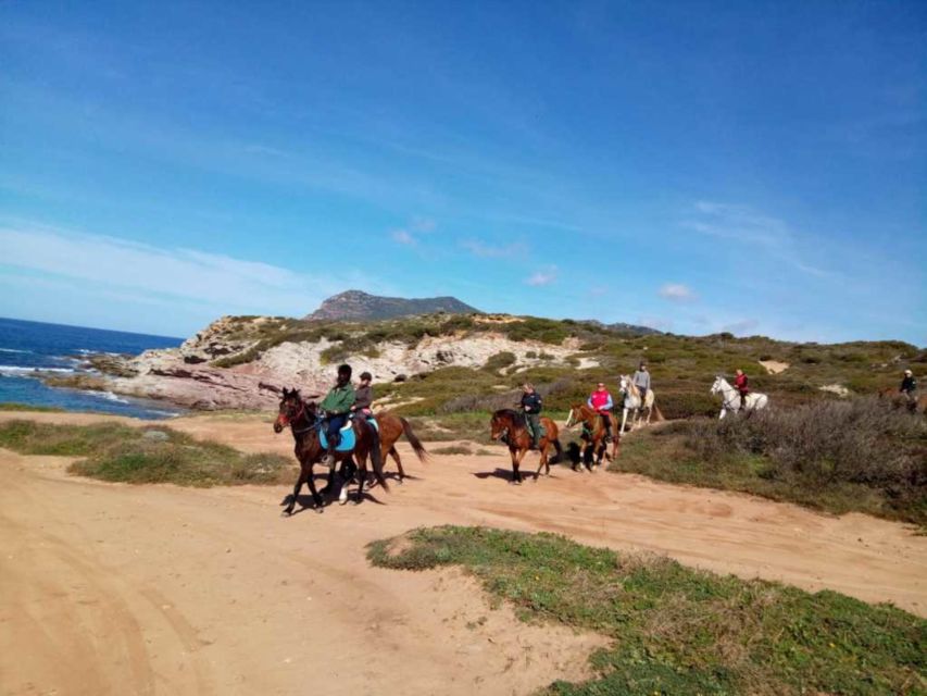 Alghero: Guided Horseback Ride at Lake Baratz & Porto Ferro - Who should book this horseback ride from Alghero?