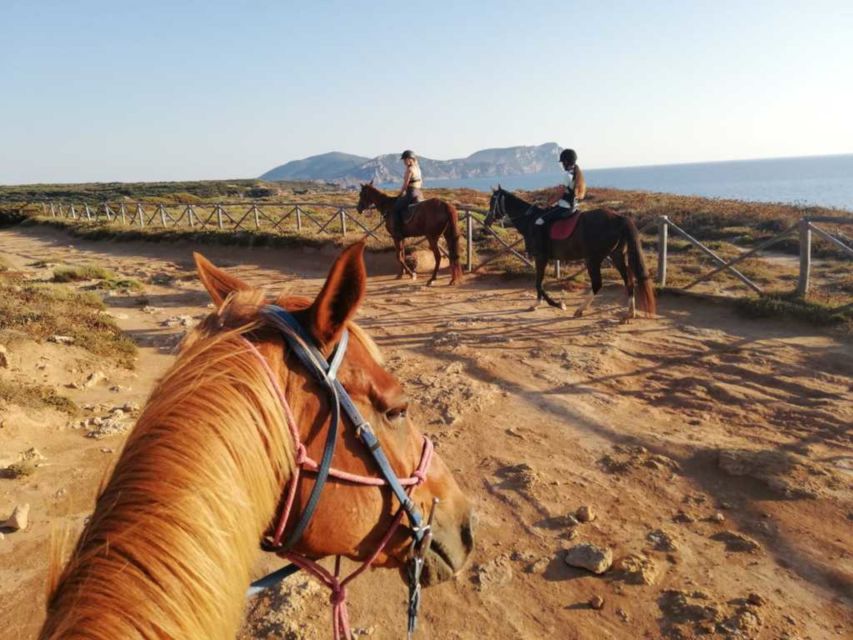 Alghero: Guided Horseback Ride at Lake Baratz & Porto Ferro - Lake Baratz: pine air, freshwater calm, and a unique Sardinia detail
