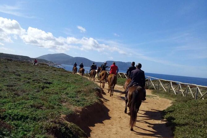 Alghero: horseback ride in Porto Ferro and Lake Baratz - Key points to know before you go