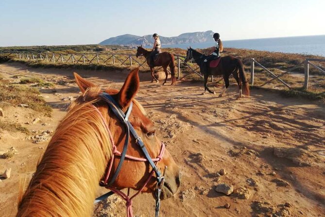 Alghero: horseback ride in Porto Ferro and Lake Baratz - What the timing feels like over ~2 hours