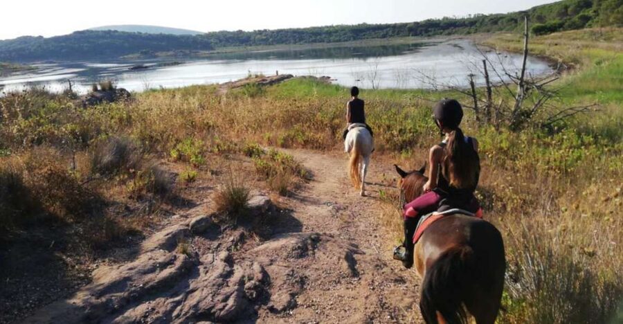Alghero: Lake Baratz Guided Horseback Ride - Pine forest time: the plants you’ll actually notice
