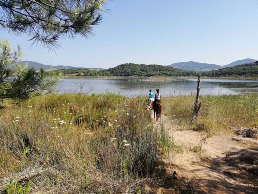 Alghero: Lake Baratz Guided Horseback Ride - Weather, timing, and the one practical drawback to plan around