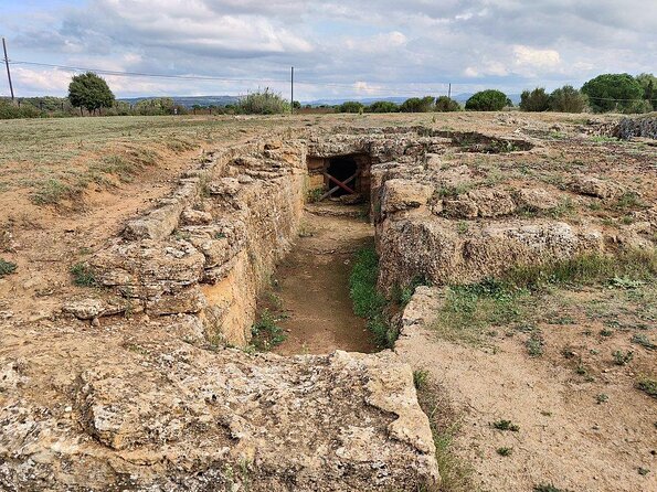 Alghero: private archaeological tour (TRANSFER INCLUDED) with local guide - Necropolis of Anghelu Ruju: 4200 BCE chamber tombs under the ground