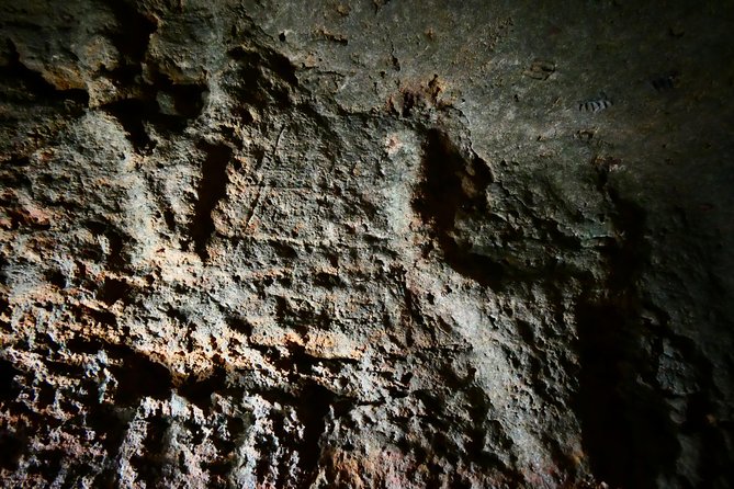 Alghero: private archaeological tour (TRANSFER INCLUDED) with local guide - Should you book this Alghero private archaeology tour?