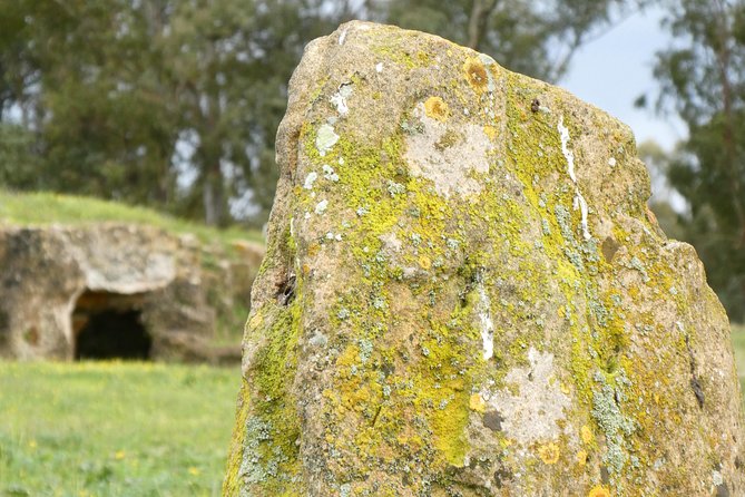 Alghero: private archaeological tour (TRANSFER INCLUDED) with local guide - Kevin Sunch and the art of making ruins understandable
