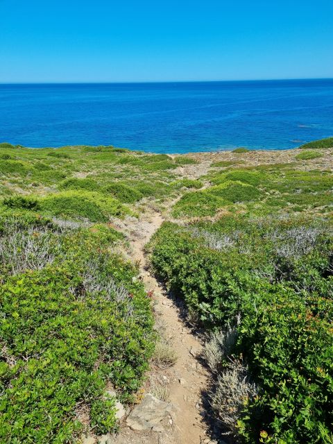 Alghero: Secret Beaches & Coastal tour by Land - The real star: secret beaches you reach with 5–10 minute walks