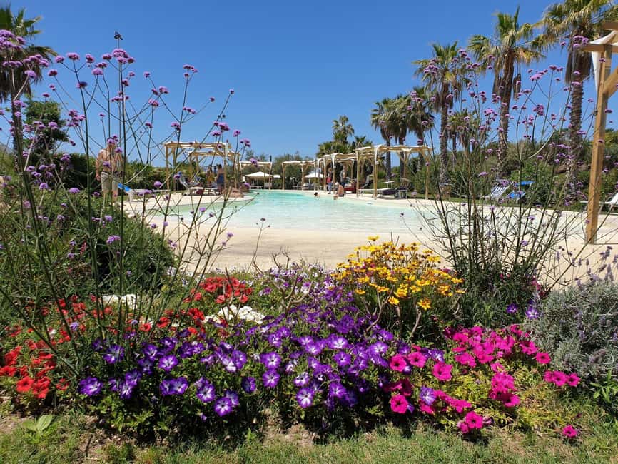 Alghero: Visit at the Butterfly House - When it’s the right choice for your group