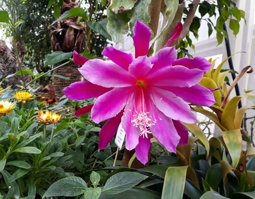 Alghero: Visit at the Butterfly House - Staff and languages: how to get help fast