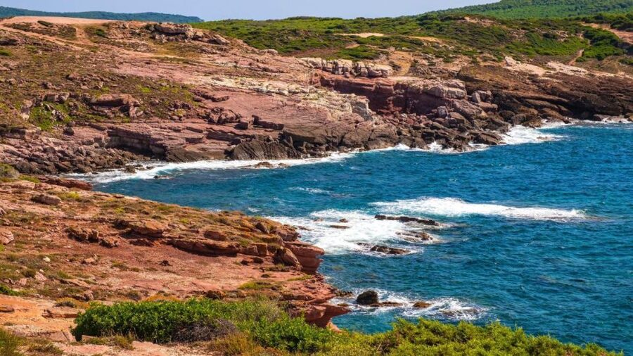 Alghero: Visit to the Nuraghe Palmavera and Porto Conte Park - Capo Caccia viewpoint: Belvedere di Foradada