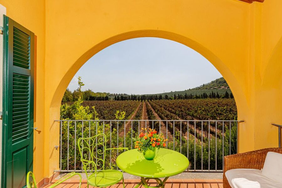 Alghero: Wine and Olive Oil Tasting at a Local Farm - Why Ledà d’Ittiri feels more like a real Sardinian farm stop