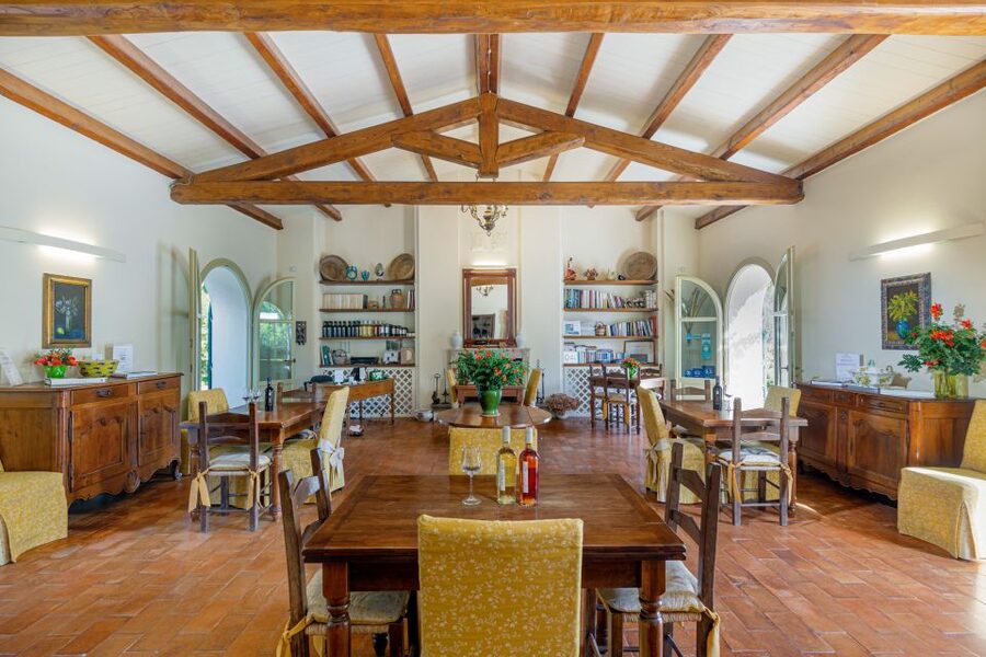 Alghero: Wine and Olive Oil Tasting at a Local Farm - Sardinian wine lessons you can actually use when you order later
