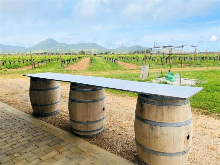 Alghero: wine tasting w/ local aperitif in the vineyard - Key Highlights Worth Booking