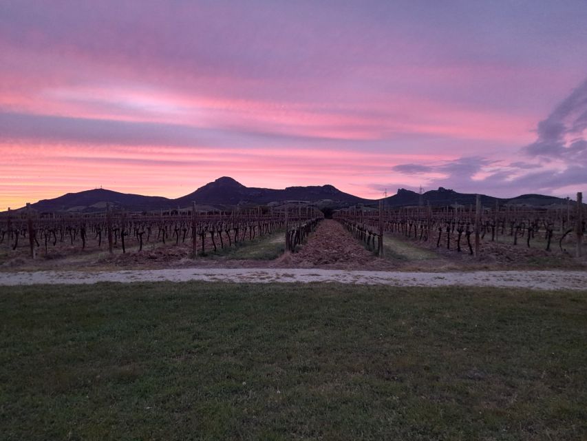Alghero: wine tasting w/ local aperitif in the vineyard - Vineyard Silence Near Alghero: What Makes This Experience Different