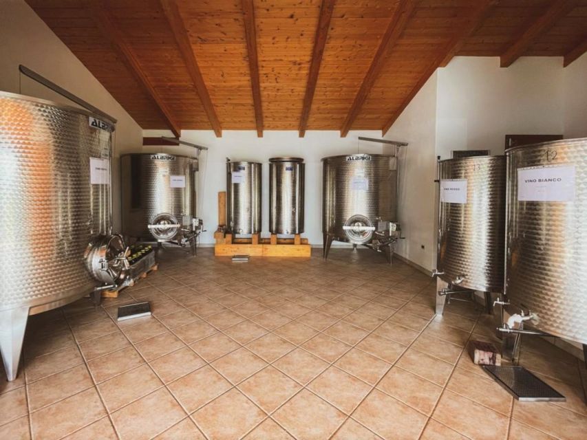 Alghero: wine tasting w/ local aperitif in the vineyard - The 1.5-Hour Flow: Cellar Visit, Vineyard Walk, Then Aperitif