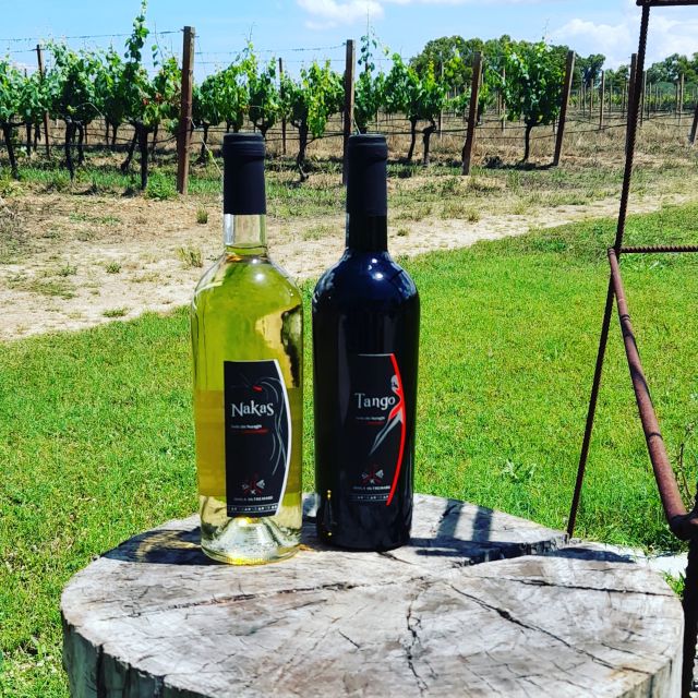Alghero: wine tasting w/ local aperitif in the vineyard - Who This Aperitif in the Vines Is Best For