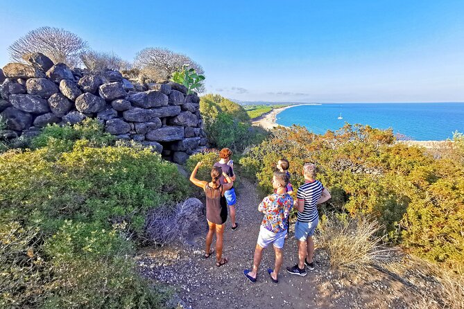 Archeology, visit to a vineyard and wine and pecorino cheese tasting - The vineyard walk: Cannonau grapes and a real conversation with the farmer