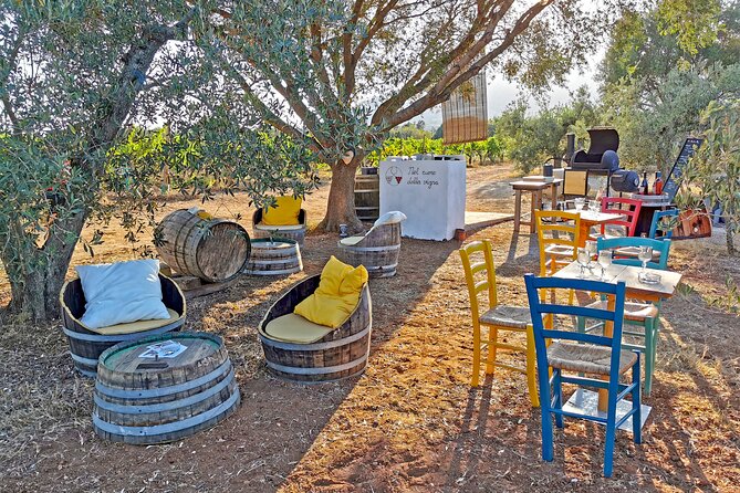 Archeology, visit to a vineyard and wine and pecorino cheese tasting - Wine and pecorino tasting in Orosei: the flavors are local, not touristy